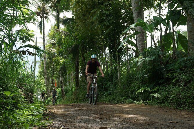 Kintamani Cultural and Nature Cycling Tour ( Manual Bike ) - Transportation, Duration, and Group Size