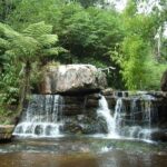 Kirirom National Park Private Day Tour from Phnom Penh - Who Should Book This Tour?