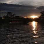 Klias Wildlife Safari River Cruise from Kota Kinabalu - The Value Proposition