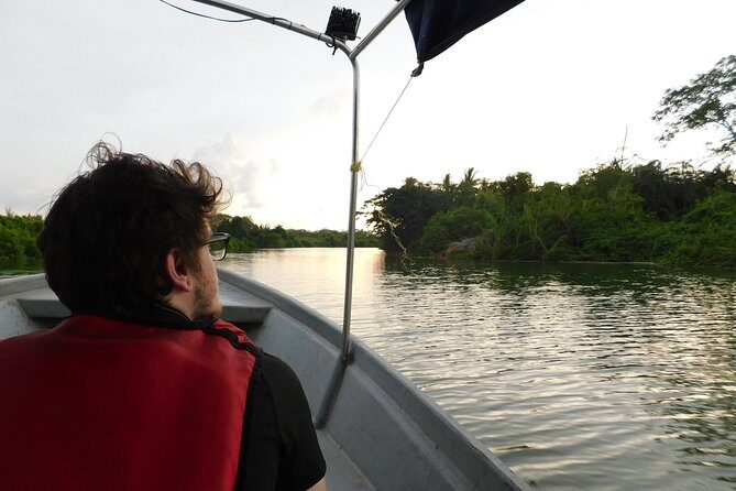 Klias Wildlife Safari River Cruise - Proboscis Monkey & Fireflies - The Sum Up