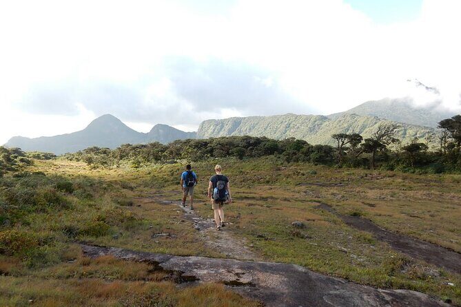 Knuckles Leopard trail Trek from Kandy - Practical Tips for Your Trek