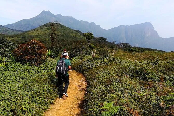 Knuckles Mountain Range Hiking and Trekking Day Tour From Kandy Hotels - What’s Included and What’s Not