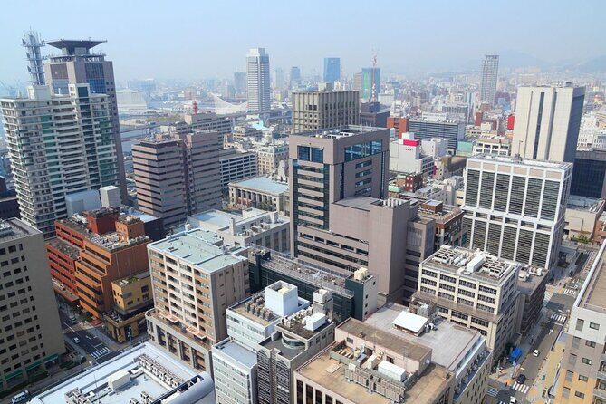 Kobe : Private Custom Tour (Excursion to Osaka / Kyoto possible) - Is This Tour Right for You?