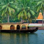 Kochi Private Tour: Kerala Backwater Houseboat Day Cruise in Aleppey - In-Depth Breakdown of the Itinerary