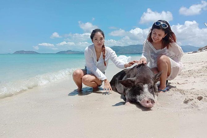Koh Madsum and Koh Tan Snorkeling Trip By Speedboat From Koh Samui - Who Will Love This Experience?