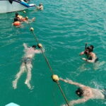 Koh Samui Island Hopping Adventure in Coral and Pig Island - Practical Details and Tips