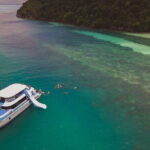 Koh Tan and Pig Island Half-Day Tour by Speed Catamaran - What to Expect on the Tour