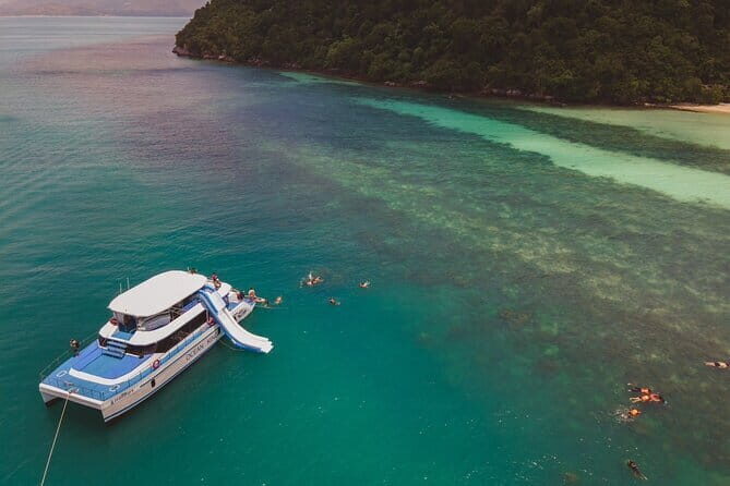 Koh Tan and Pig Island Half-Day Tour by Speed Catamaran - What to Expect on the Tour
