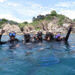 Koh Tao 2-Dive Day Trip from Koh Samui for certified divers - What We Think Could Be Better