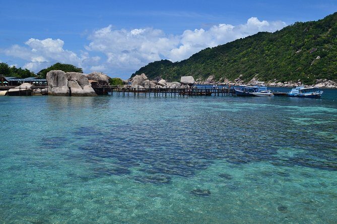 Koh Tao and Koh Nang Yuan Snorkeling Trip By Speedboat From Koh Samui - The Realities of the Experience: Pros and Cons