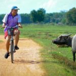 Koh Yao Noi Full Day Tour with Bike Ride & Lunch - The Pickup and Transfer