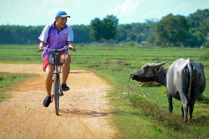 Koh Yao Noi Full Day Tour with Bike Ride & Lunch - The Pickup and Transfer