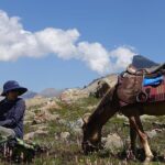 Kolahoi Glacier Trek - Challenges and Considerations