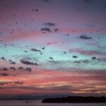 Komodo Private Boat tour 3Days 2 Night - Practical Details and What They Mean for You