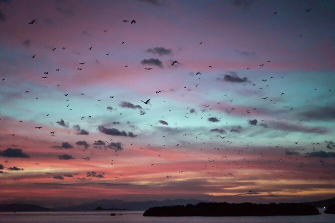 Komodo Private Boat tour 3Days 2 Night - Practical Details and What They Mean for You