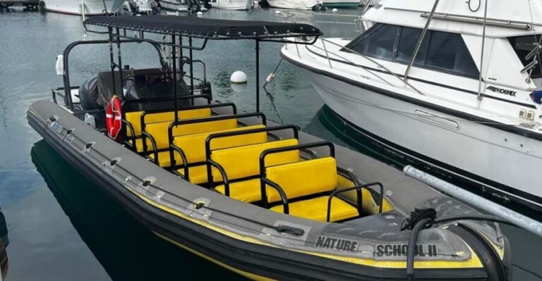 Kona Hi, Sunset Manta Ray Tour 10 passengers maximum - The Experience of the Tour