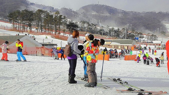 Korea Ski Tour from Seoul - Jisan Forest Resort - What Travelers Say: Authentic Insights