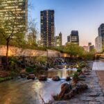 Korean History & Heritage Tour - Practical Aspects and What You Should Know