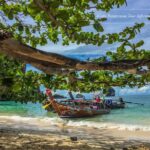 Krabi Ao, nang Bioluminescent plankton by longtail boat - Authenticity and Experience: What Travelers Say