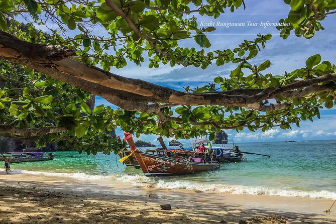 Krabi Ao, nang Bioluminescent plankton by longtail boat - Authenticity and Experience: What Travelers Say