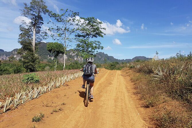 Krabi Countryside Eco Cycling Tour - Multiple Trails - Final Thoughts