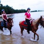 Krabi Horse Riding at The Beach - The Itinerary Breakdown