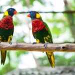 Kuala Lumpur Private Half-Day Family Tour of Nature, Birds and Butterflies - Key Points