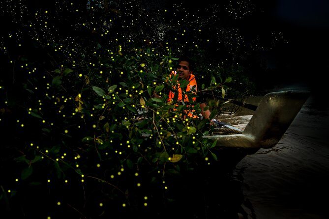 Kuala Selangor Fireflies - Batu Caves Temple- Malawati Hill DayTour With Dinner - Authentic Insights From Reviewers