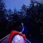 Kuala Selangor Firefly Boat Tour with Roundtrip Transfer from Kuala Lumpur - Who Will Enjoy This Tour?
