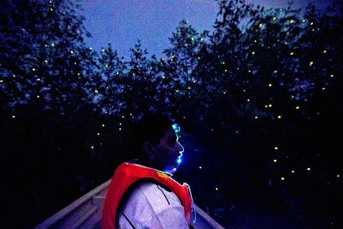 Kuala Selangor Firefly Boat Tour with Roundtrip Transfer from Kuala Lumpur - Who Will Enjoy This Tour?