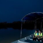 Kuala Selangor Tour from Kuala Lumpur with Fireflies Boat Ride and Seafood Dinner - Who Will Love This Tour?