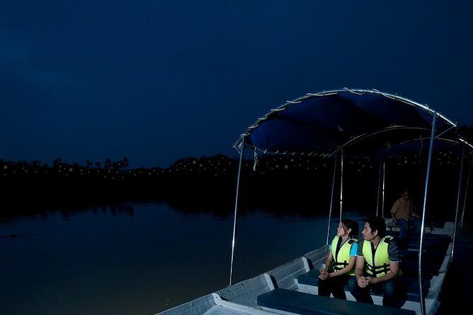 Kuala Selangor Tour from Kuala Lumpur with Fireflies Boat Ride and Seafood Dinner - Who Will Love This Tour?
