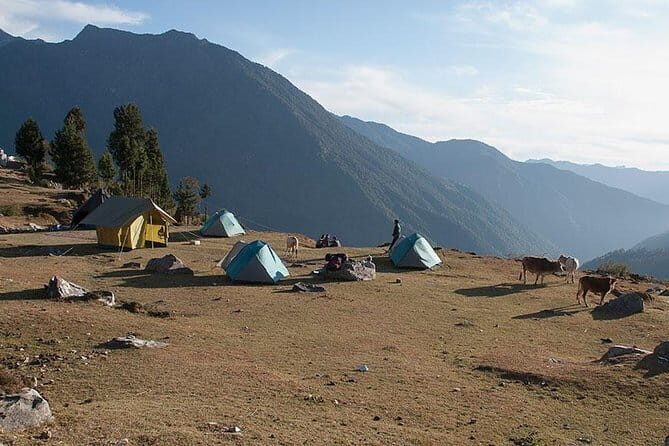 Kuari Pass Trek- 8 Days - Authentic Insights from Reviews