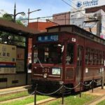 Kumamoto Half-Day Private Tour with Government-Licensed Guide - Who Would Benefit Most from This Tour?