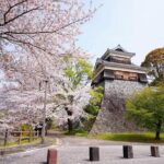 Kumamoto Private Customizable Full Day Tour - Final Thoughts: Is It Worth It?