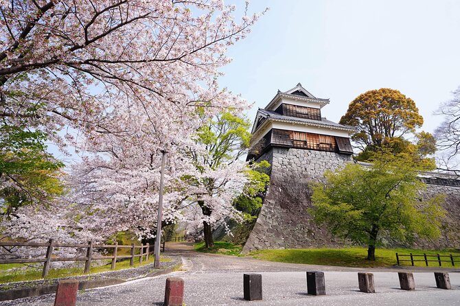 Kumamoto Private Customizable Full Day Tour - Final Thoughts: Is It Worth It?