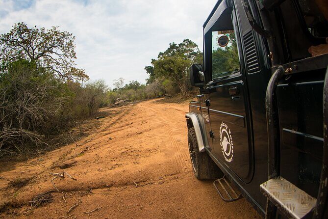 Kumana National Park Half Day Jeep Safari - An In-Depth Look at the Kumana National Park Safari