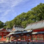 Kumano Kodo Pilgrimage Full-Day Private Trip with Government Licensed Guide - What Makes This Tour Worthwhile?