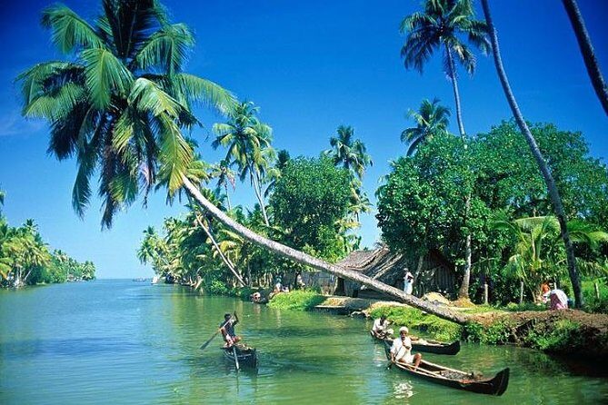 Kumbalangi Village Sightseeing Tour - Who Will Love This Tour?