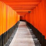 Kyoto Afternoon Tour (Round Trip from Kyoto) - Exploring Kyoto’s Temples and Shrines