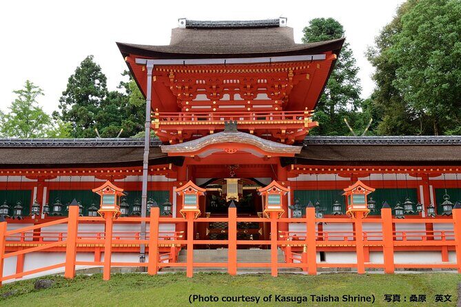 Kyoto and Nara Day Trip - Golden Pavilion and Todaiji from Osaka - Who Would Love This Tour?