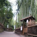 Kyoto and Nara Fully Satisfying Two-Day Walking Tour - Practicalities of the Tour