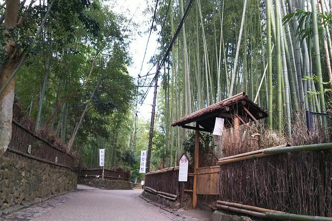 Kyoto and Nara Fully Satisfying Two-Day Walking Tour - Practicalities of the Tour