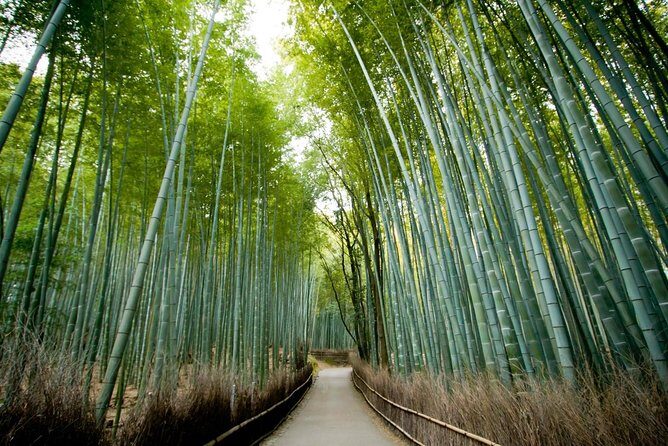 Kyoto Arashiyama Rickshaw Tour with Bamboo Forest - Practical Tips for Your Tour