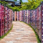 Kyoto Arashiyama Walking Tour - Bamboo, Monkeys, Temple & Secrets - Final Thoughts