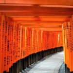 Kyoto Day Trip using Private Car with English Driver (up to 5) - Authentic Experiences and Hidden Gems