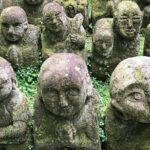 Kyoto: Descending Arashiyama (Private) - What Makes This Tour Stand Out?