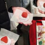 Kyoto Karasuma to Gion Walking Food Tour With Secret Food Tours - Final Thoughts