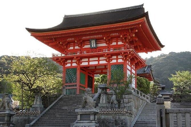 Kyoto & Nara Day Trip - Golden Pavilion & Todaiji from Kyoto - Transportation and Group Dynamics