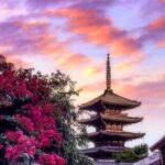 Kyoto, Osaka, Nara Private Tour by Car English Driver Guide - The Itinerary Breakdown: What You Can Expect